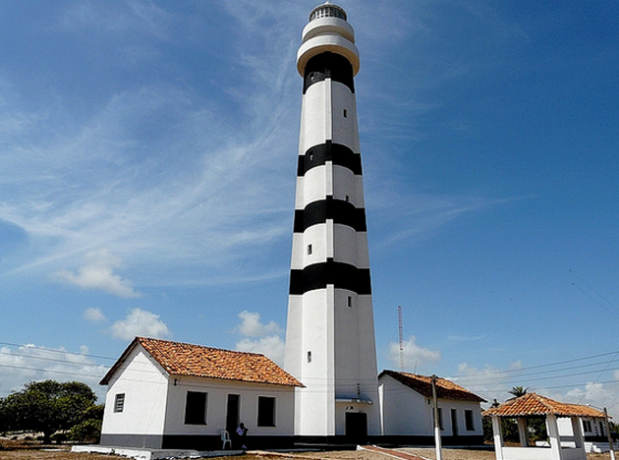 roberta sa