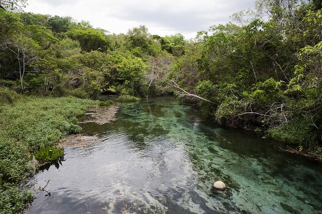 12633849864_112cbaeba9_z