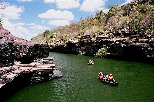 4409541930_c5aefec1c2_z