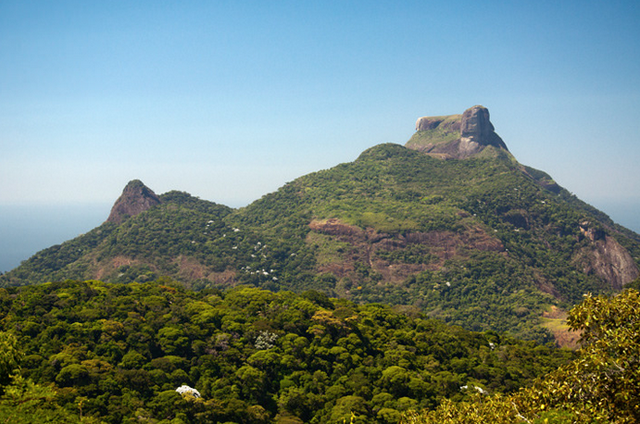 Tijuca1