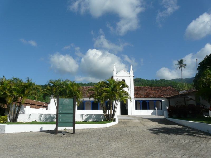 Mônica França