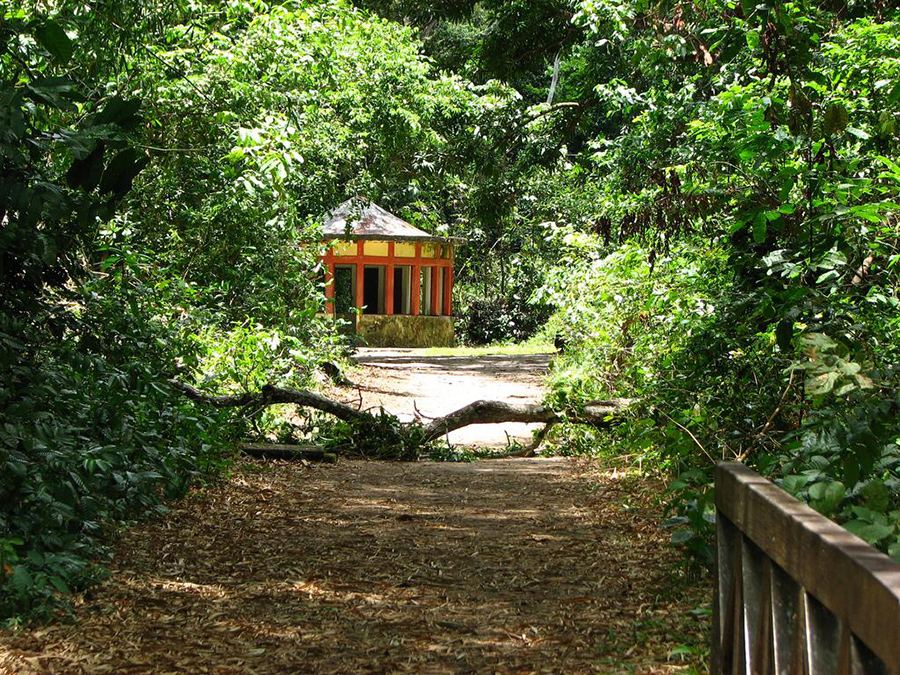 paraíba criativa