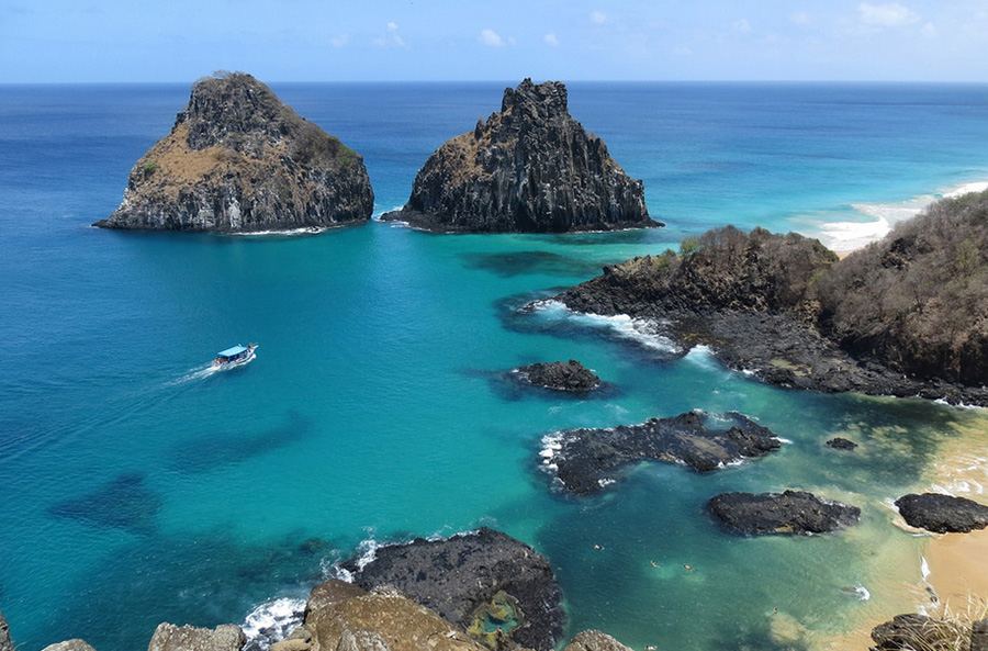 baia dos porcos