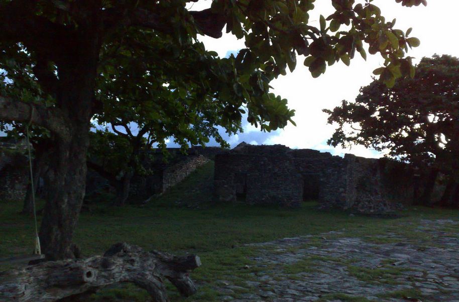 leao - forte