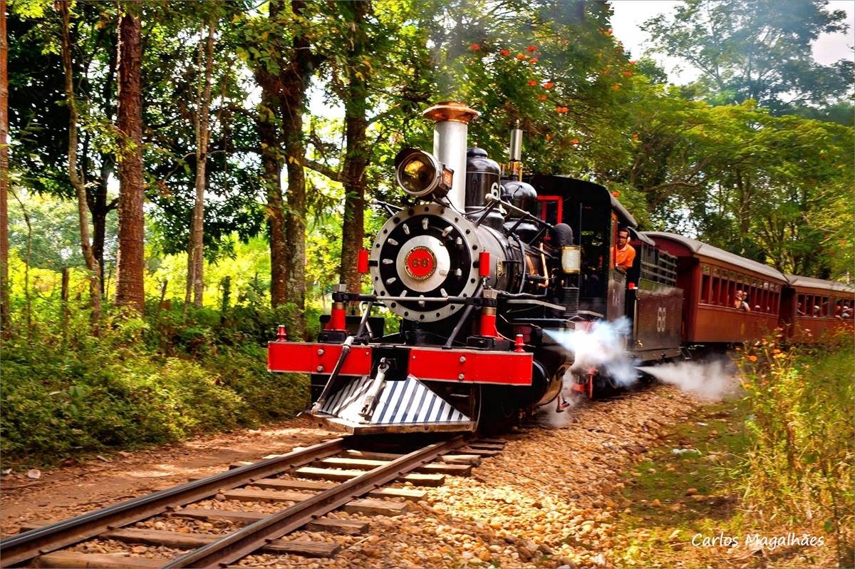 Passeios De Trem Pelo Brasil Confira Roteiros Imperd Veis