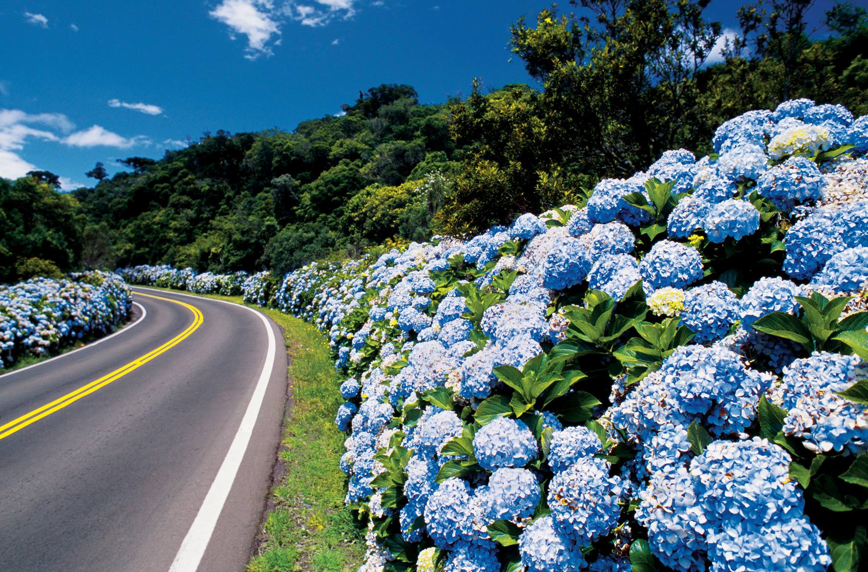 Guia De Gramado Como Chegar O Que Fazer Quando Ir E Outras Dicas