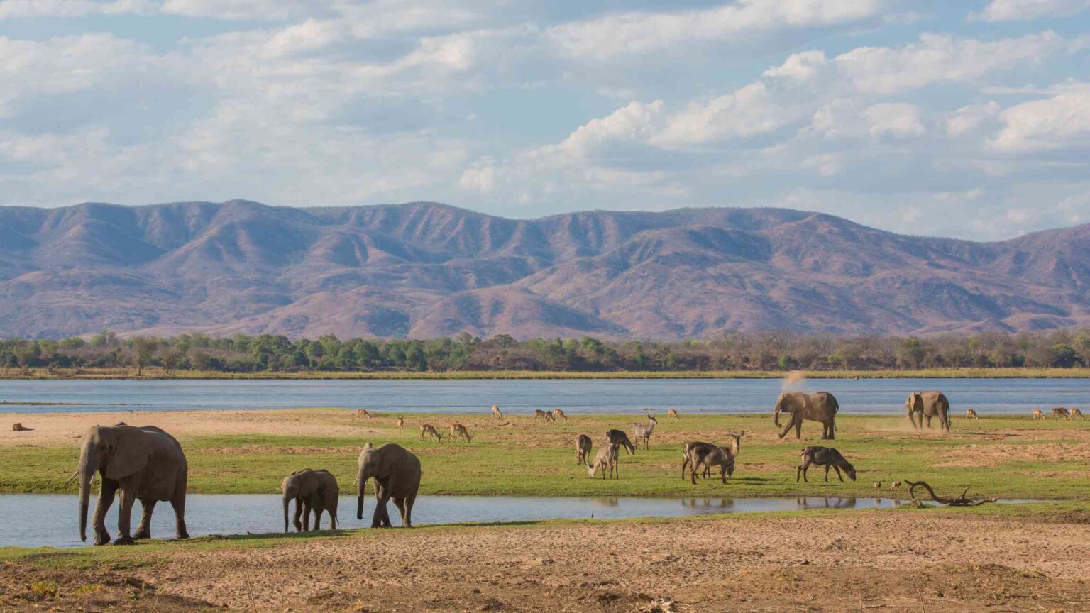 Saf Ri Na Frica Os Melhores Lugares Para Encontrar Animais