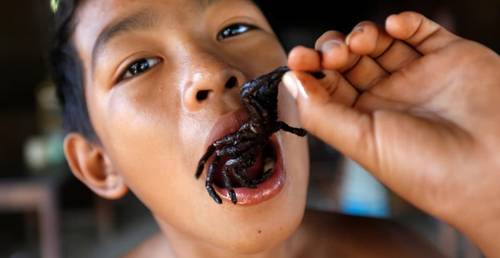 comidas exóticas