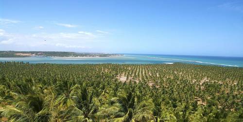 Bate e volta para fazer saindo de Maceió