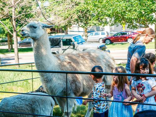 Réveillon 2025 Hotéis fazenda em Minas Gerais para ir com a família