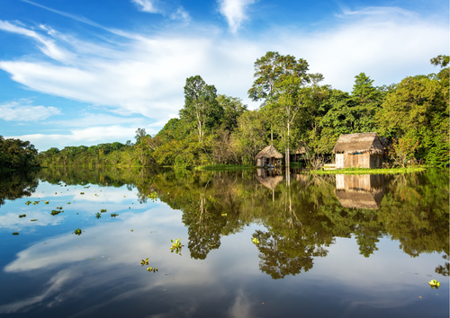 ferias na amazonia