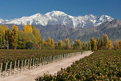 melhores vinícolas do chile