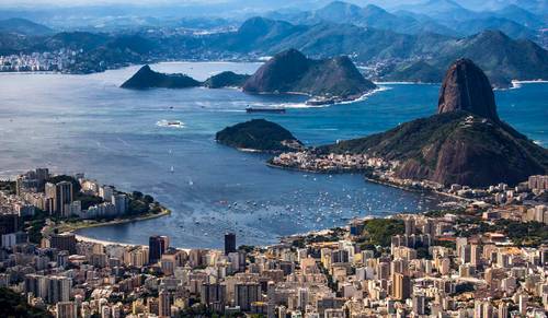 tartarugas na Baía de Guanabara