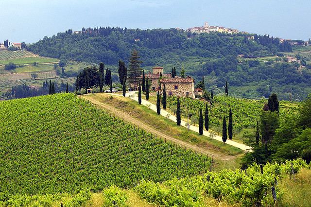 Toscana - Itália (Roteiro do Vinho)