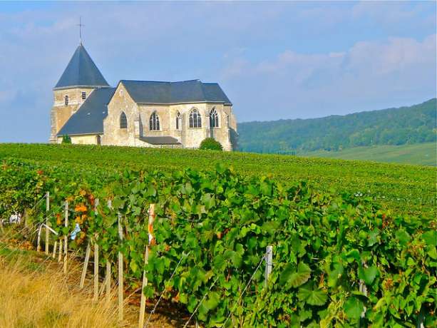 Champanhe - França (Roteiro do vinho)