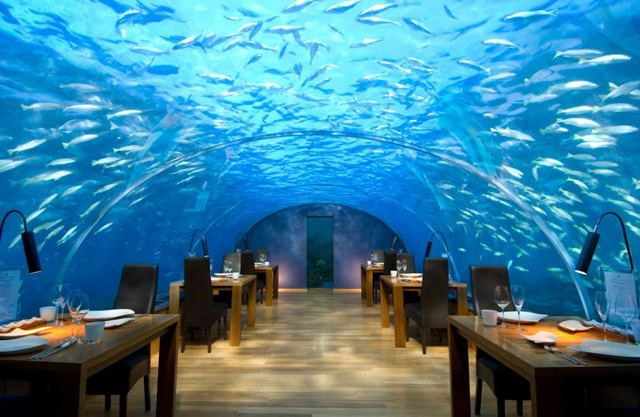 Ithaa Undersea Restaurant, Rangali Island - Maldivas