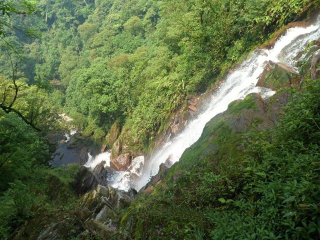 Grampos Waterfall - Paranapiacaba