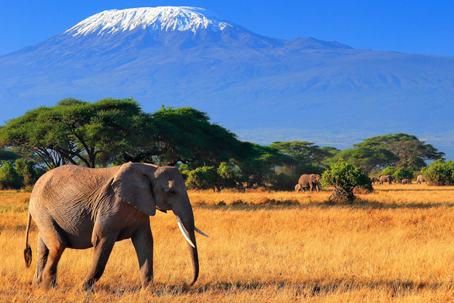 Monte Kilimanjaro