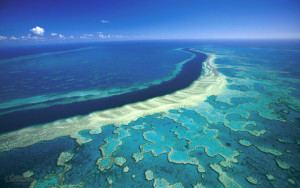 A Grande Barreira de Corais um dos destinos mais visitados da Austrália