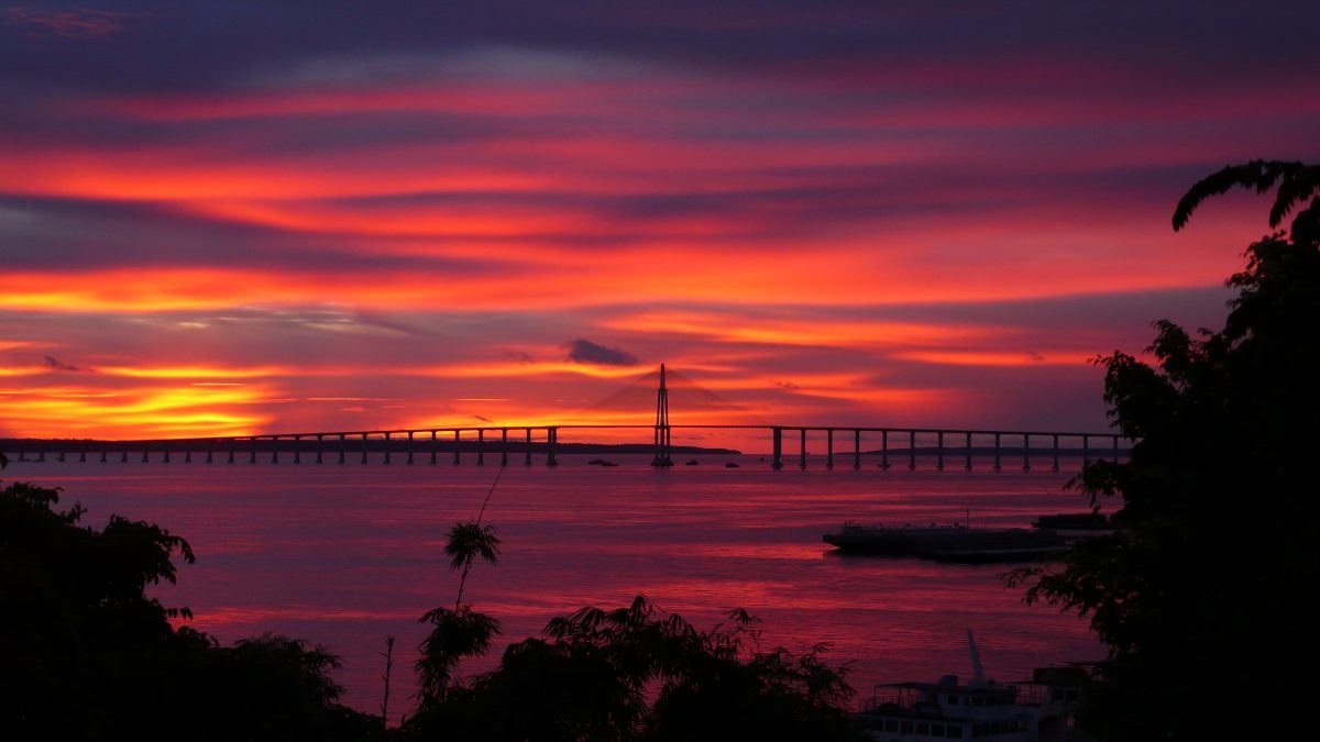 O que ver e fazer a partir de Manaus