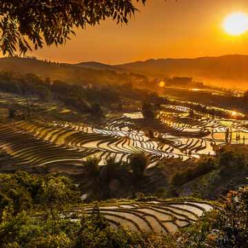 Resultado de imagem para Os incríveis terraços de Honghe Hani China