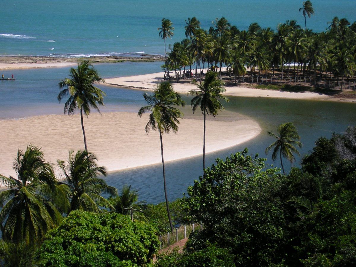 Praias Em Alagoas Que Voc Precisa Conhecer