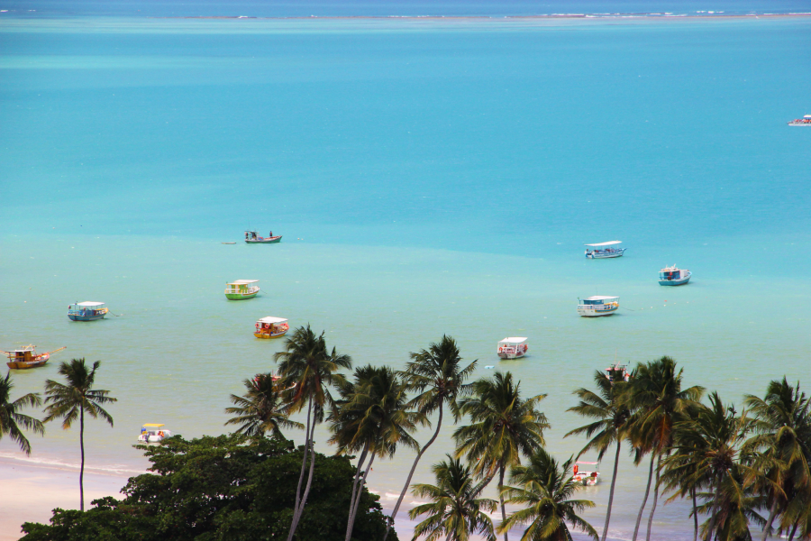 O que fazer em Alagoas: visitar as praias de Maragogi