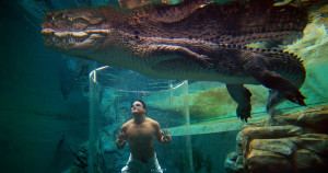 Parque na Austrália oferece experiência de nadar com crocodilo de 5 metros
