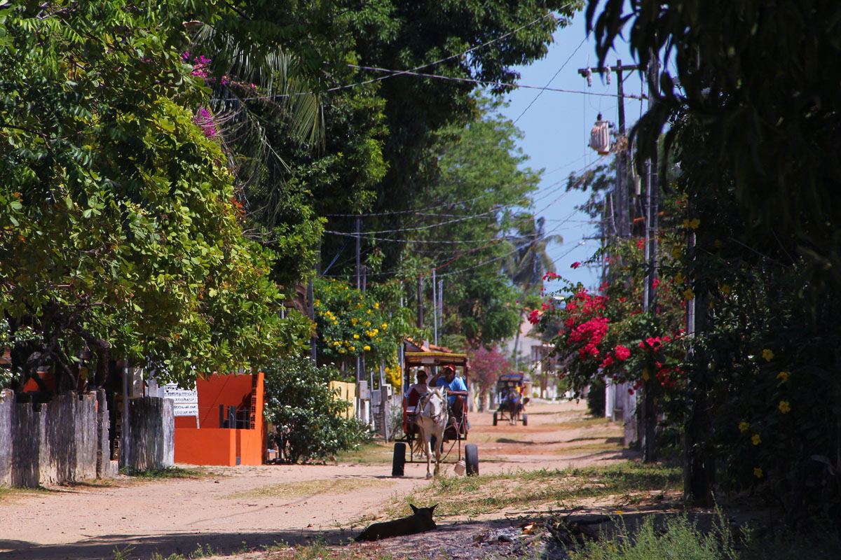 The village streets are all on the sand. Photo: Gustavo Albano