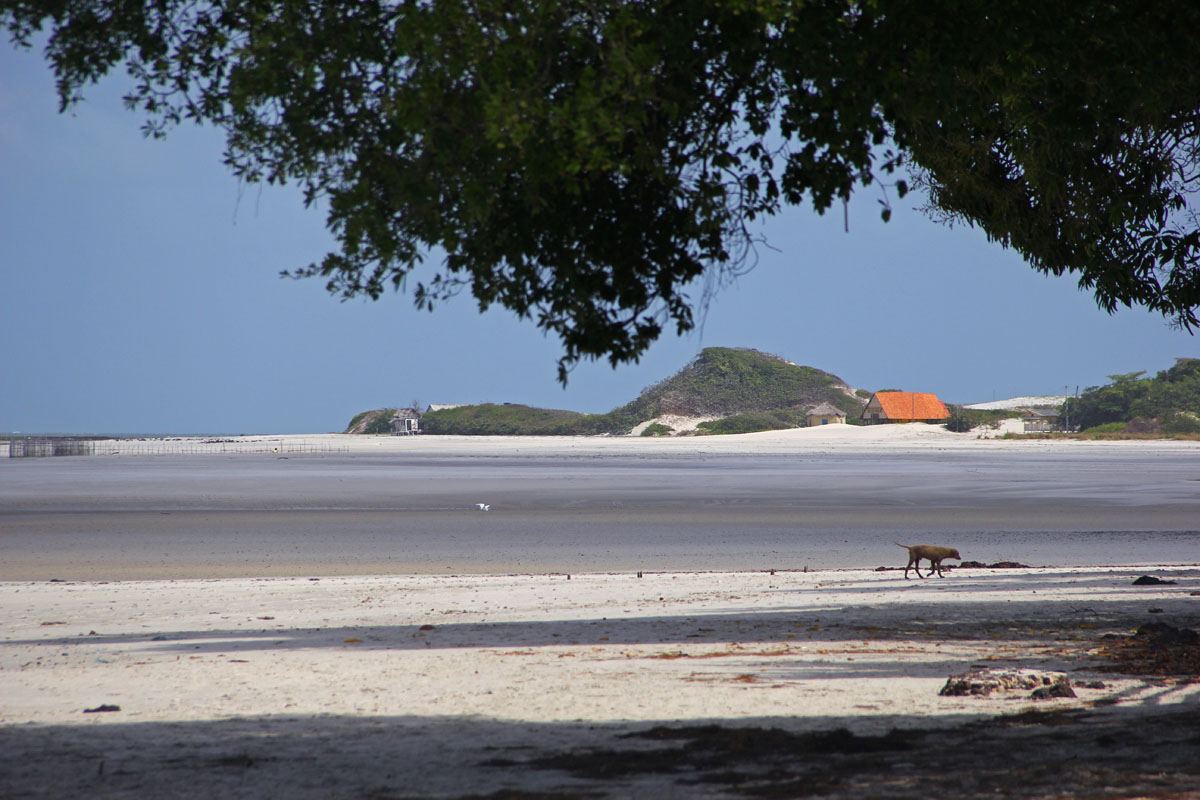View of Algodoal Beach during low tide. Photo: Gustavo Albano