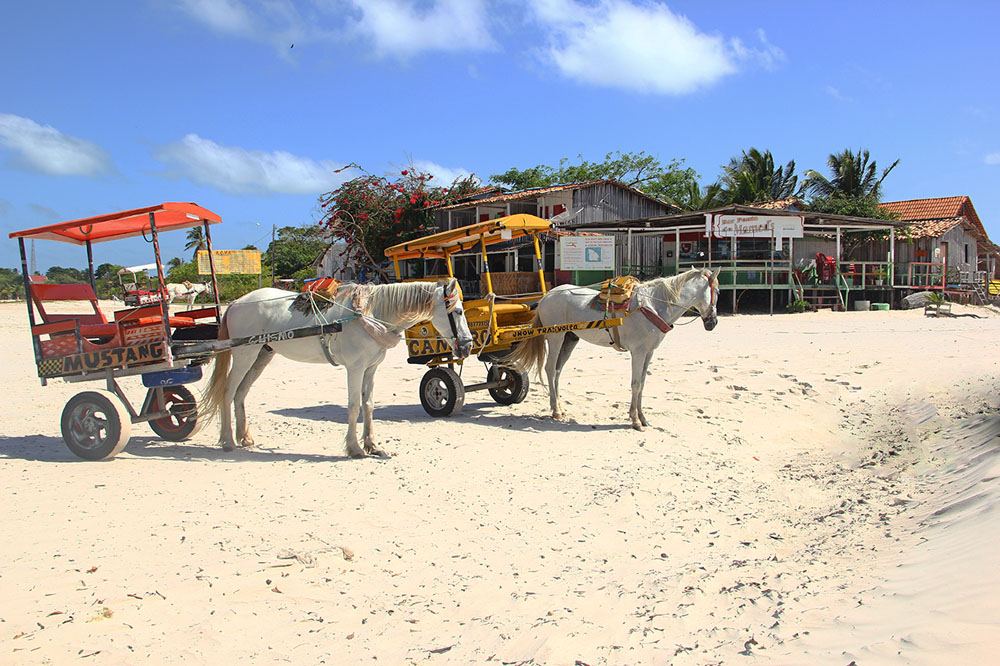 The carts serve as vehicles for natives and visitors. Photo: Gustavo Albano
