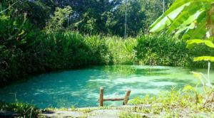 Tocantins: veja fotos dos fervedouros mais belos do Jalapão