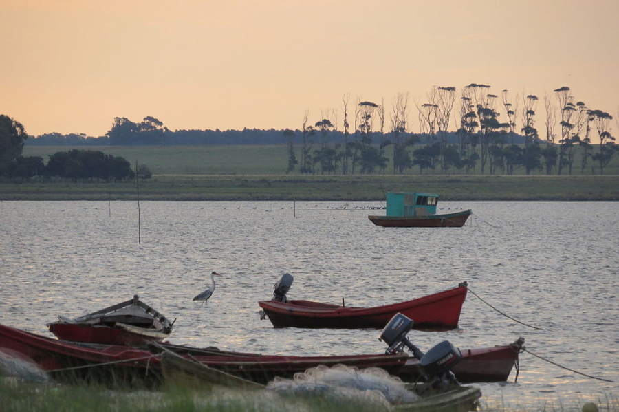 O que fazer no Uruguai: Laguna de Rocha