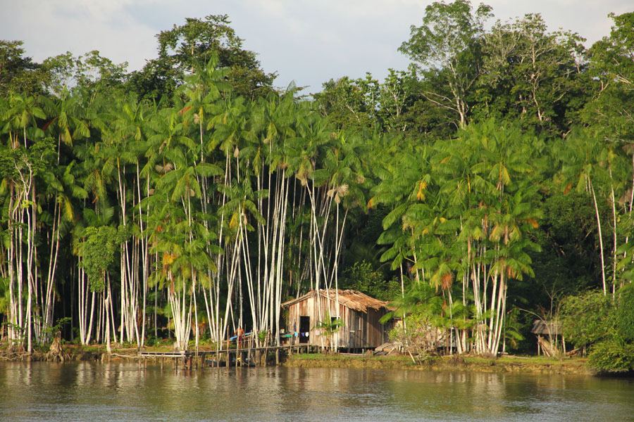 Boat trip in the Amazon