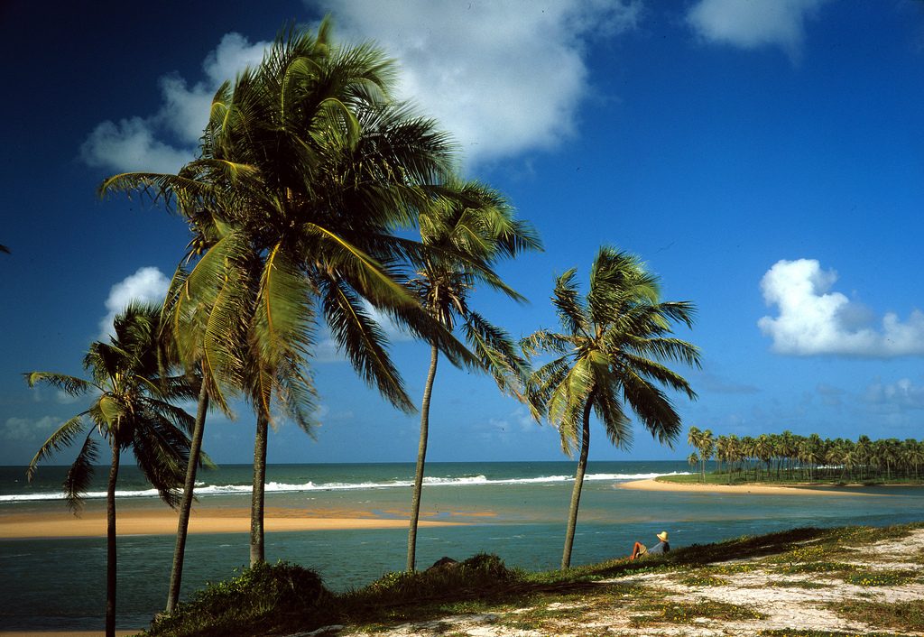 Praias para conhecer em Salvador e arredores