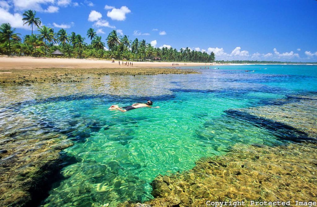 Piscinas naturais no Brasil encantam turistas no litoral brasileiro