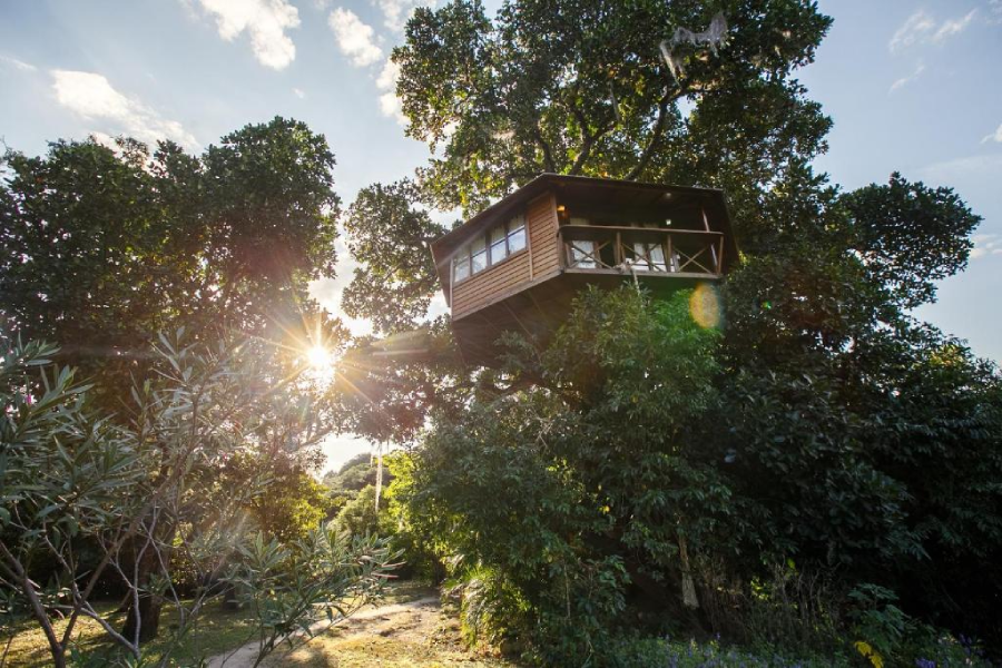 Casas na árvore para se hospedar no Brasil