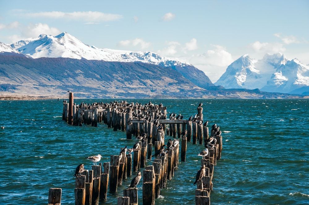 Dicas de turismo em Puerto Natales