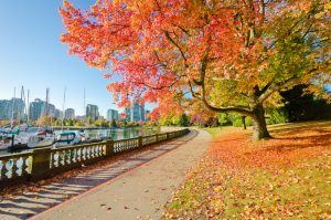 Lugares para conhecer em Vancouver