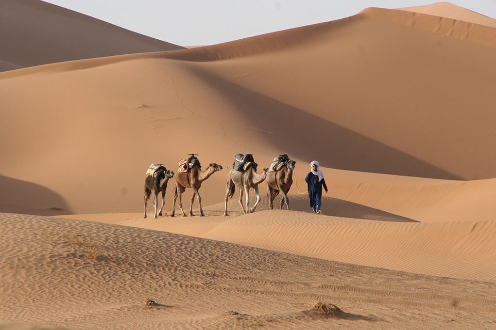Marrocos: dormindo uma noite no deserto do Saara