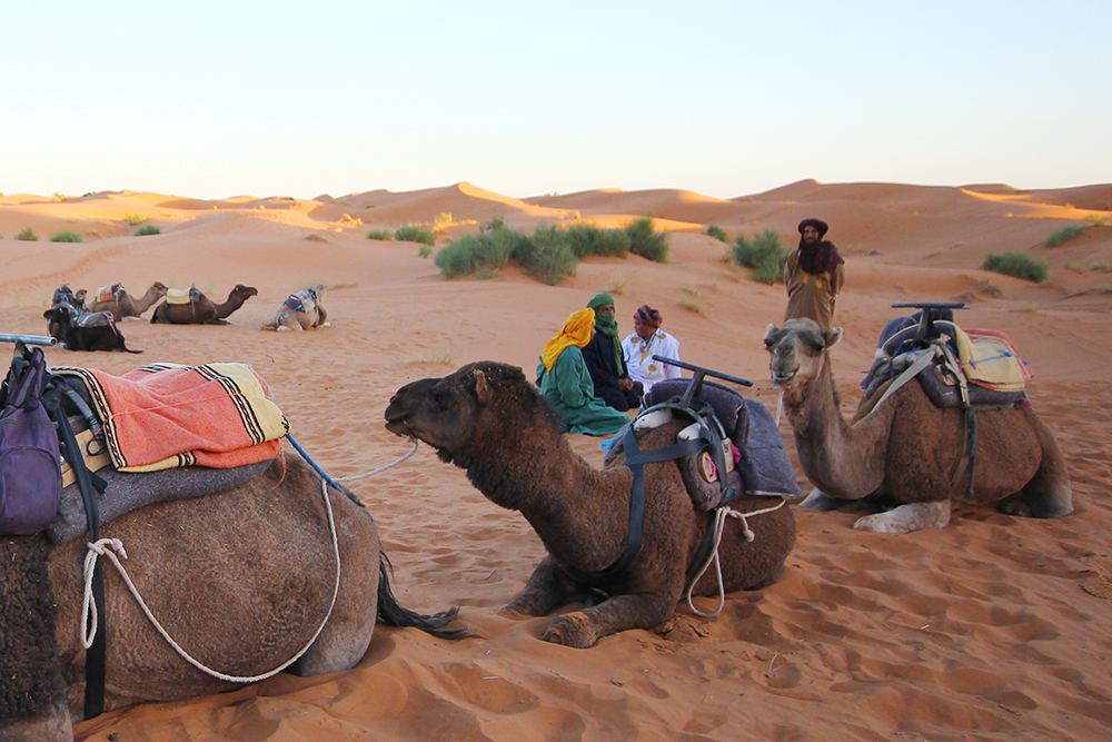 Marrocos: como é andar de dromedário no deserto do Saara