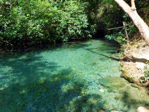 Menor rio da América Latina fica no Tocantins e tem água incrivelmente azul