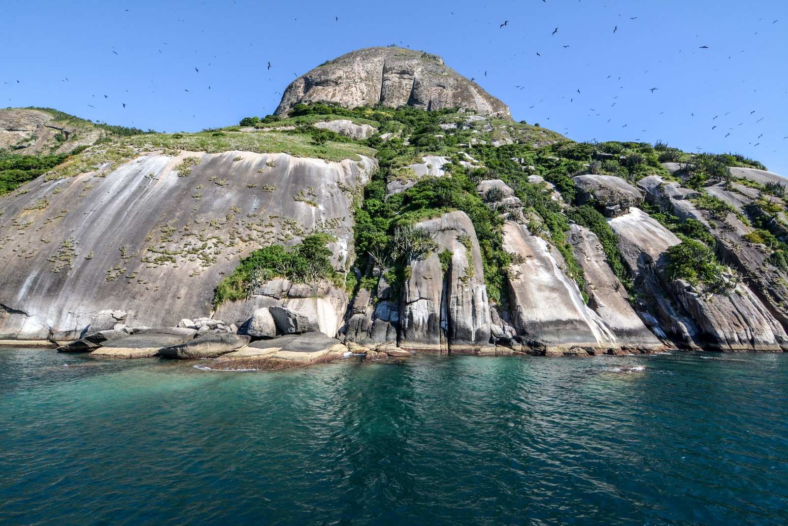 Ilha de Alcatrazes em São Paulo