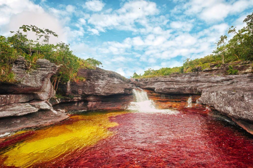 Conheça Caño Cristales, o rio arco-íris da Colômbia