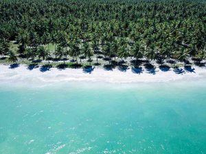 Alagoas: veja 12 fotos das melhores praias de Maragogi e entornos