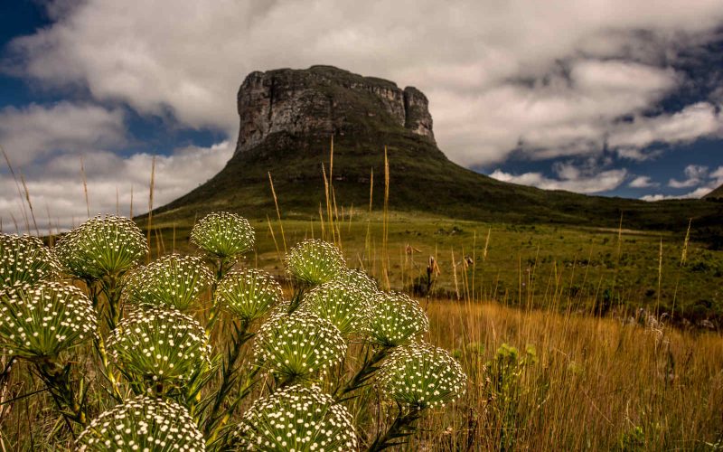melhor época para conhecer a Chapada Diamantina