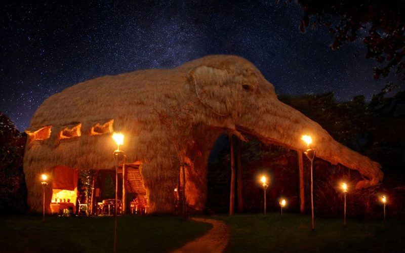 hotel elefante no Sri Lanka