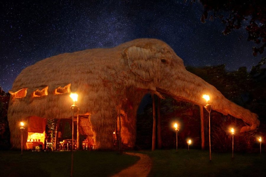 hotel elefante no Sri Lanka