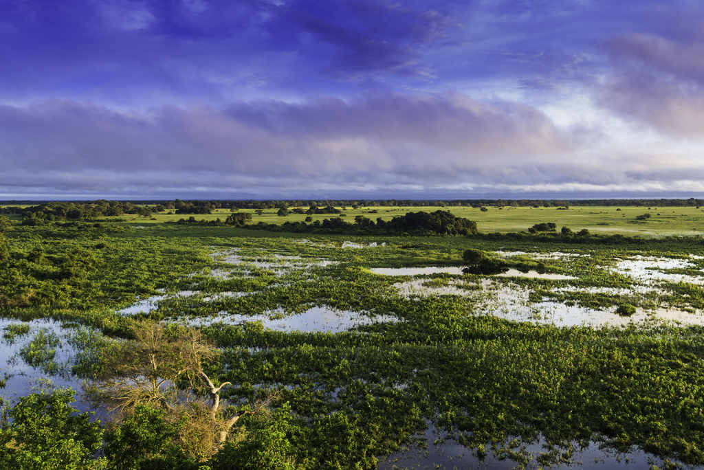 Melhor época para visitar o Pantanal