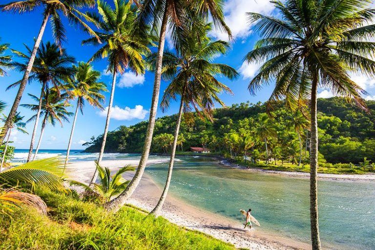 Praias Paradisíacas No Brasil Veja As 50 Melhores Praias Para Viajar 8236